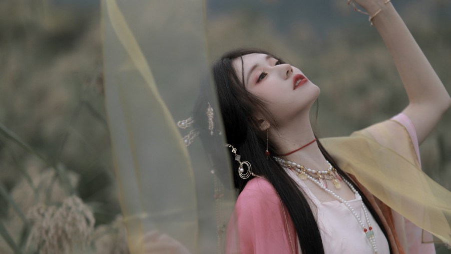 美国监管追问特斯拉：方向盘到底能不能装？